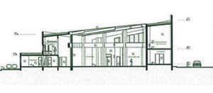 section